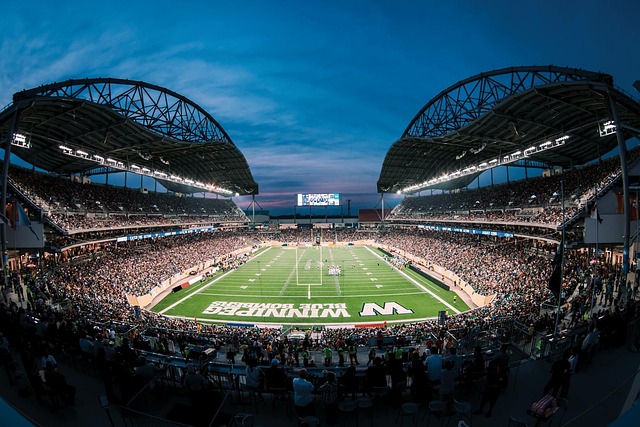 并最终成为 并最终成为