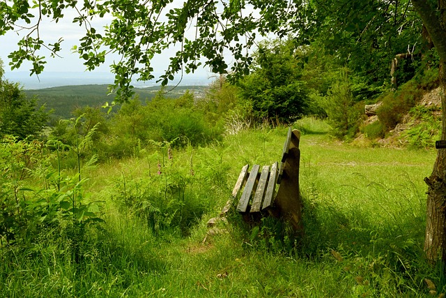 力和場上全 力和場上全